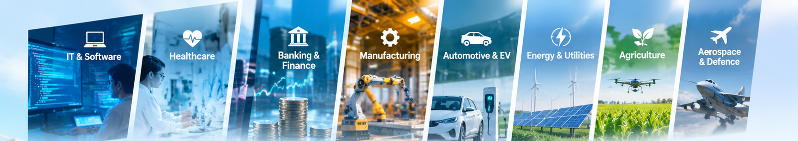 Industry project pathways across IT, healthcare, banking, manufacturing, automotive, energy and agriculture